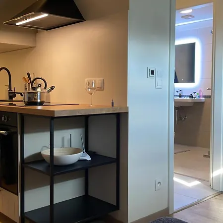 Apartament Utulny Podkrovni Atelier Se Zahradou *