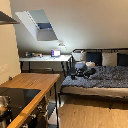 Utulny Podkrovni Atelier Se Zahradou *